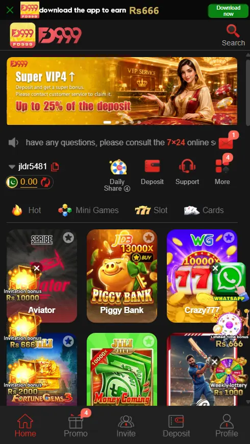 FD999 Game